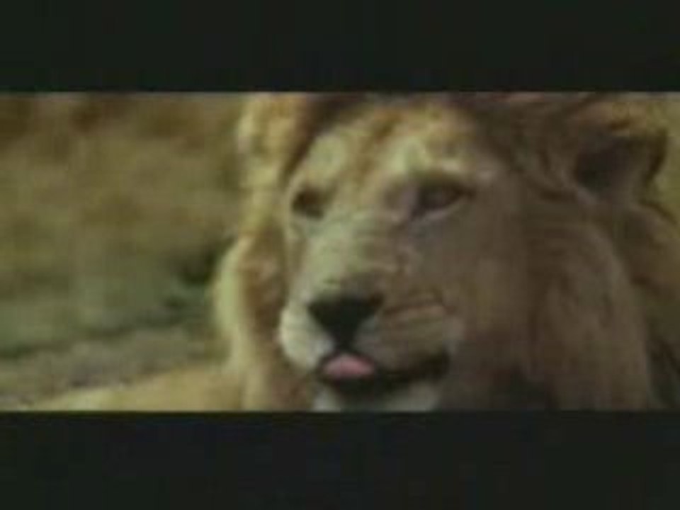 Bad_Day_In_Africa