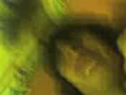 Conneries entre cousins