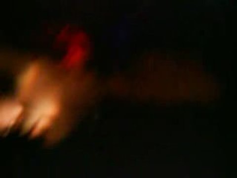 Lezard libre paye ton amende party Mac