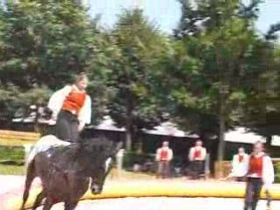 Voltige jockey, août 2008