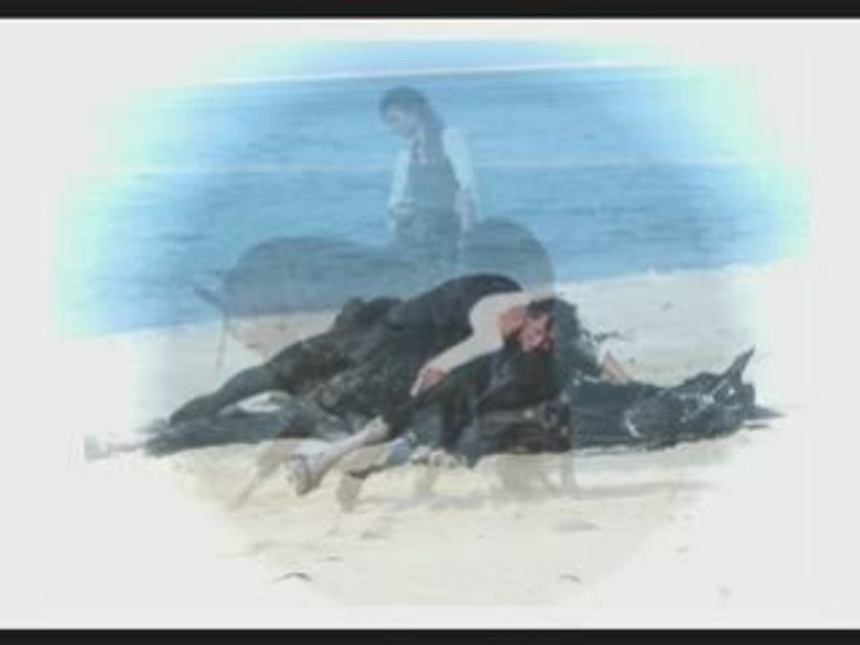 Spectacle Equestre Photos
