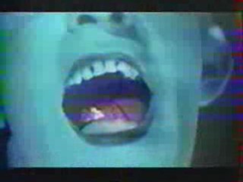 Clip- les beruriers noirs - BxN - 2 clowns