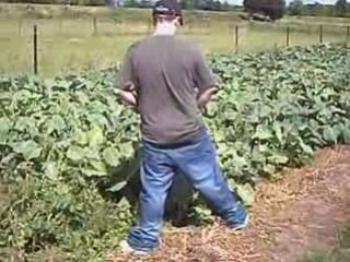 Journée 13 juillet 2008 avec les Smecta Boby's