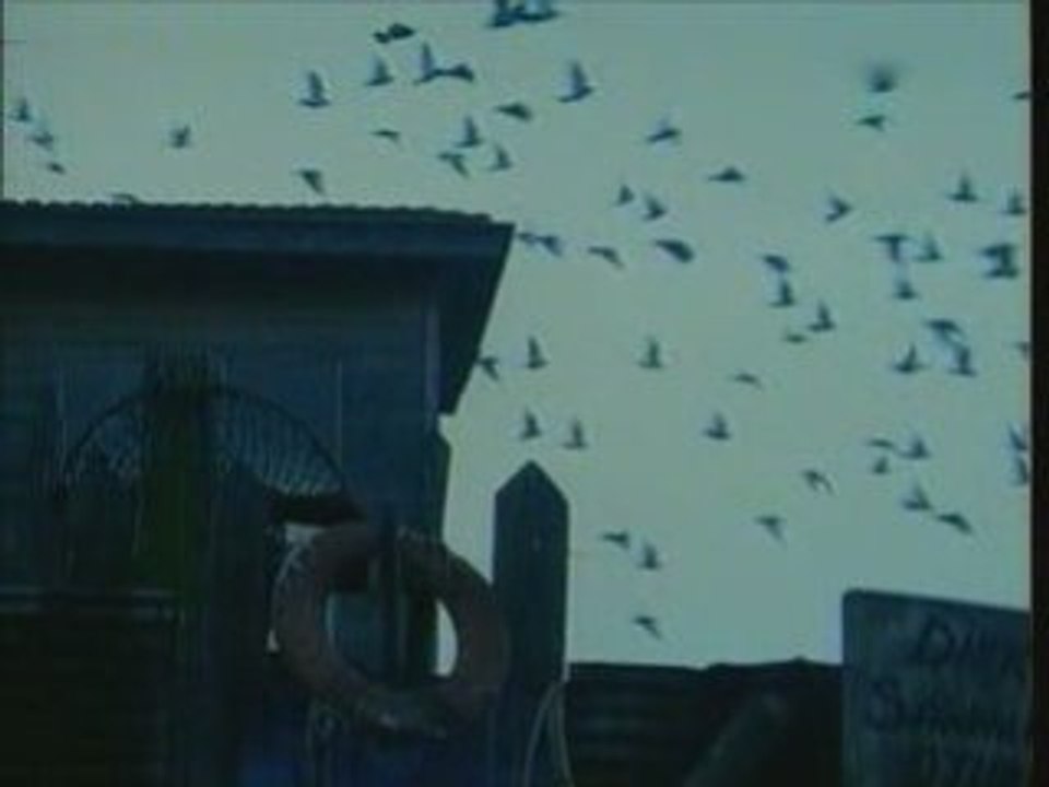 YENİ TÜRKÜ - BANA BİR MASAL ANLAT BABA