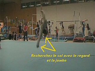 Tutorial Cheat Gainer