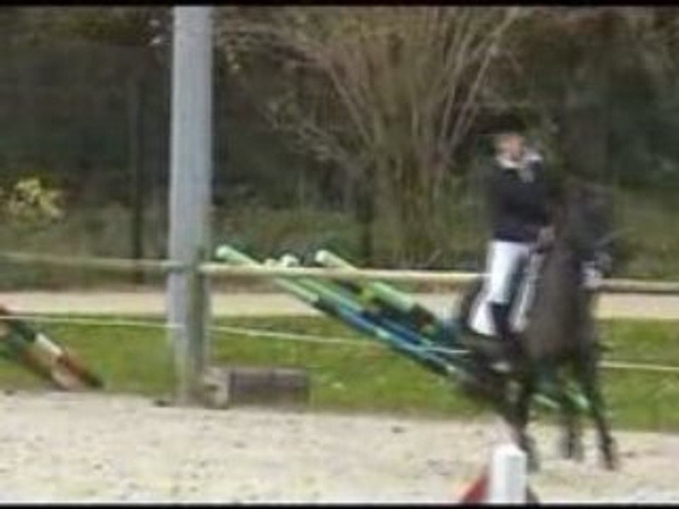 Cavalier 2
