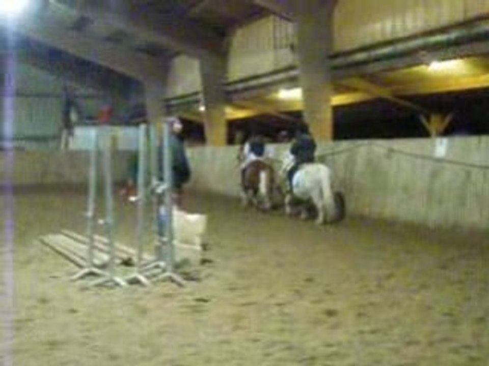 Moi et petit Gris trot