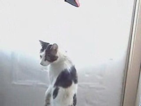 Ce n'est pas la Tempete du 24 janvier mais le 8 mars 2008