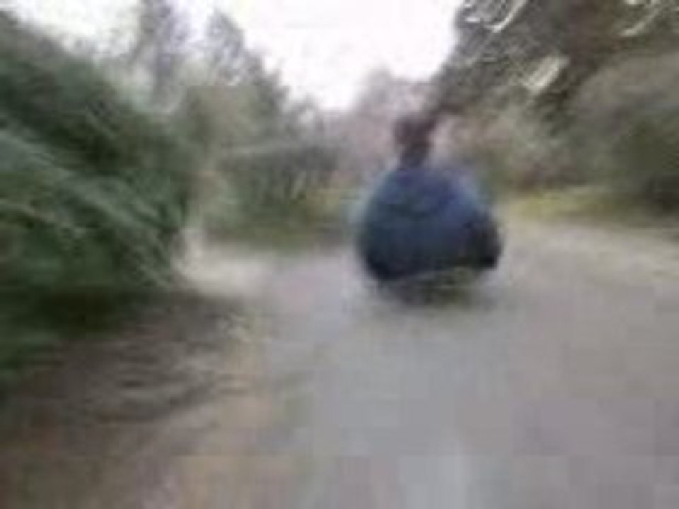 le skate
