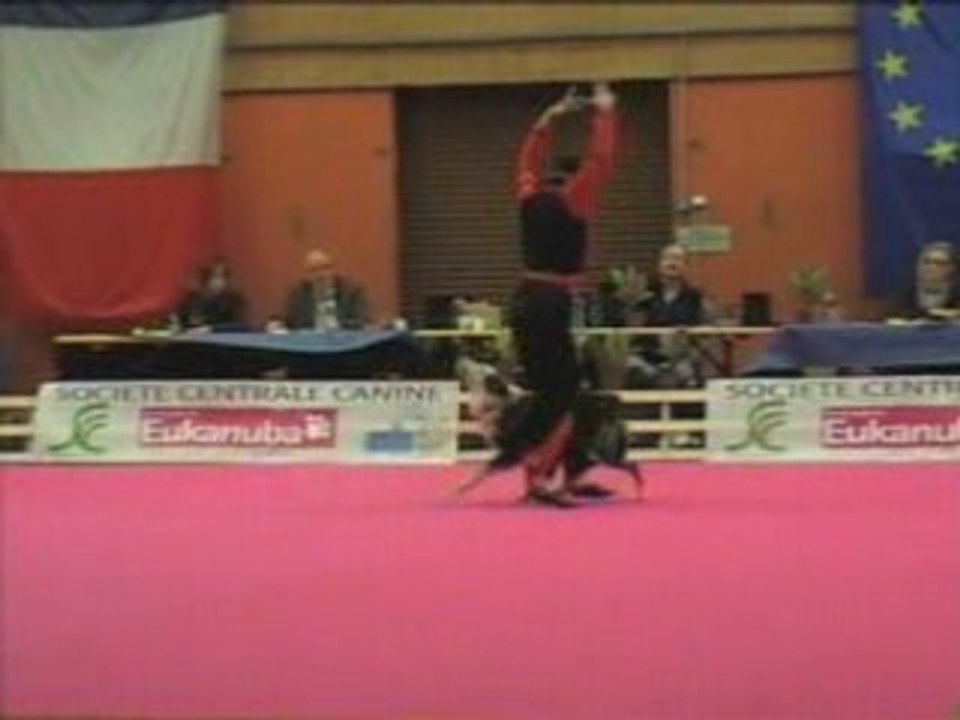 GPF Obérythmée 2008 Dog dancing french championship
