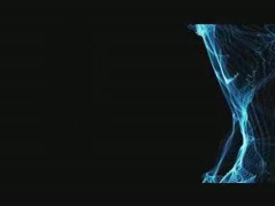 Fin test