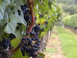 La vallée de cahors