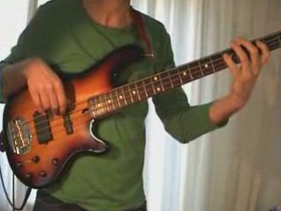 The Beatles - You Like Me too Much- Bass Cover