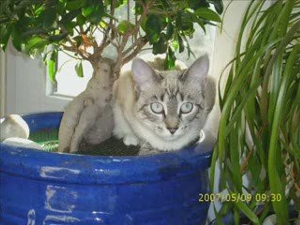 Suki une amie de la nature ! ^^
