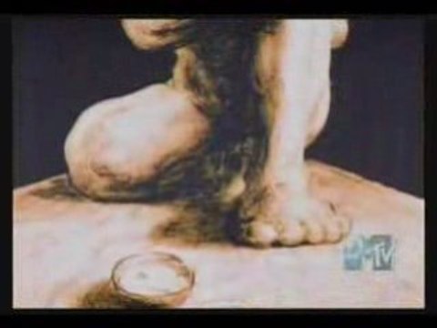 Dir en grey - [agitated screams of maggots] pv (tvrip)