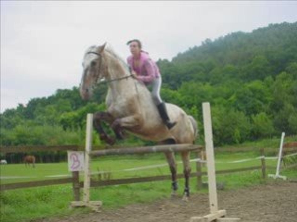 Rox' 260907 au janvier 2009