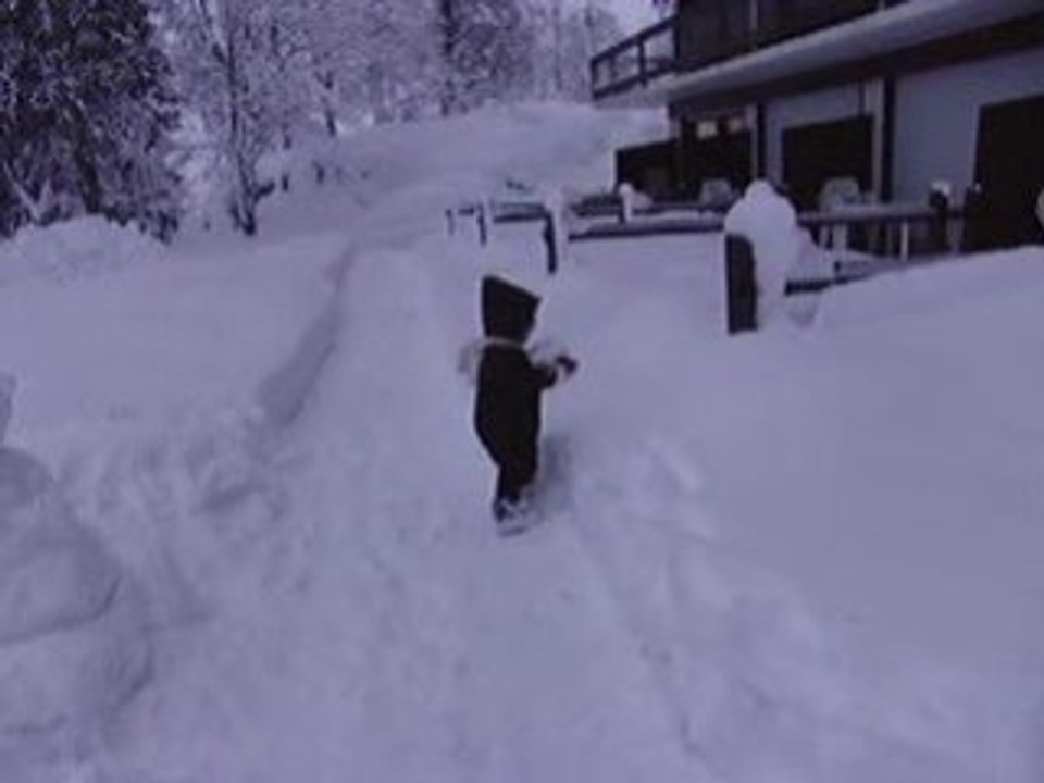 bouddha des neiges