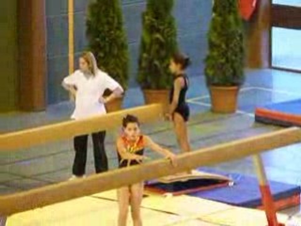 gym poutre