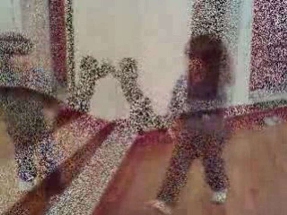 élina show