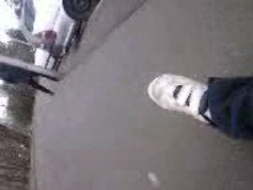 le skate