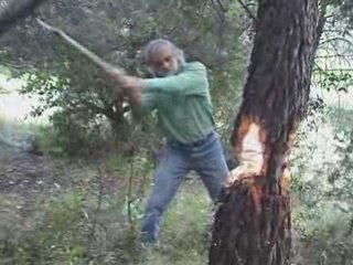 Arbre de mai - Varages 2007