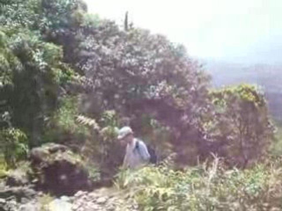 PJ & KK & Lolo en vacances en Gwada