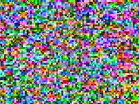 florida keys vacation rentals, florida vacation rentals