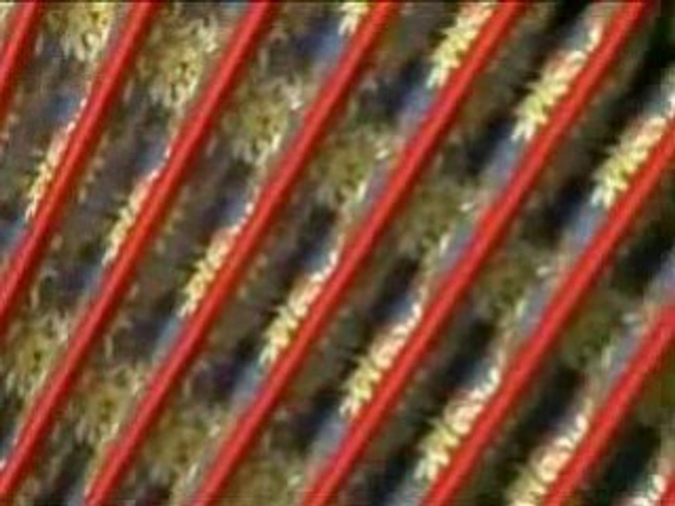 Accordion For Sale-Button Accordions For Sale Canada