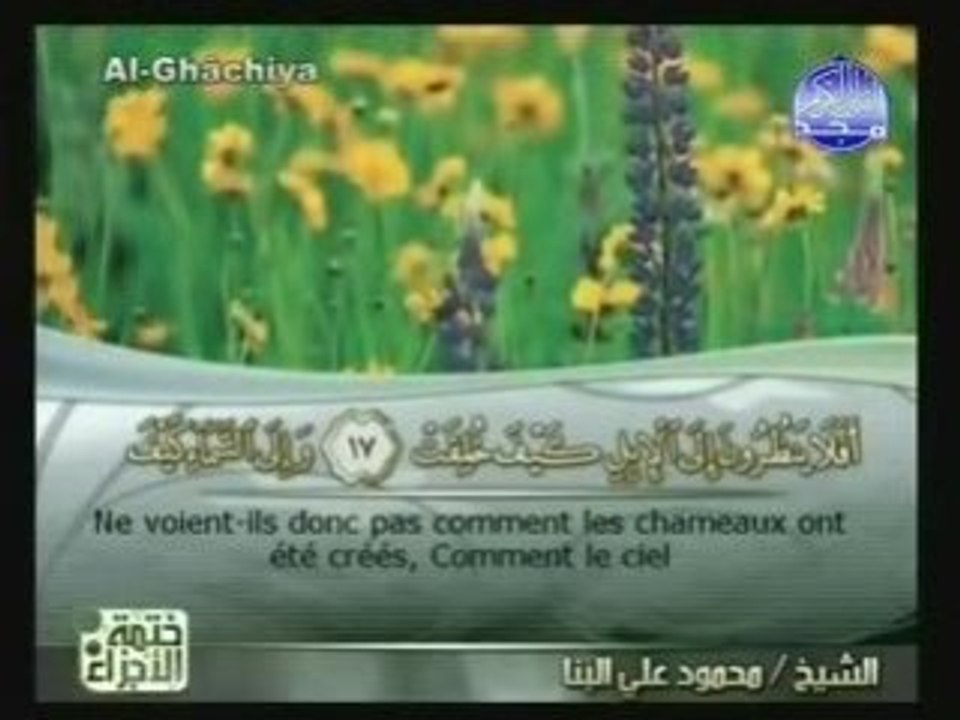 [88] Al-ghachia