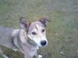 Kazaan et le pain tte une histoire lol