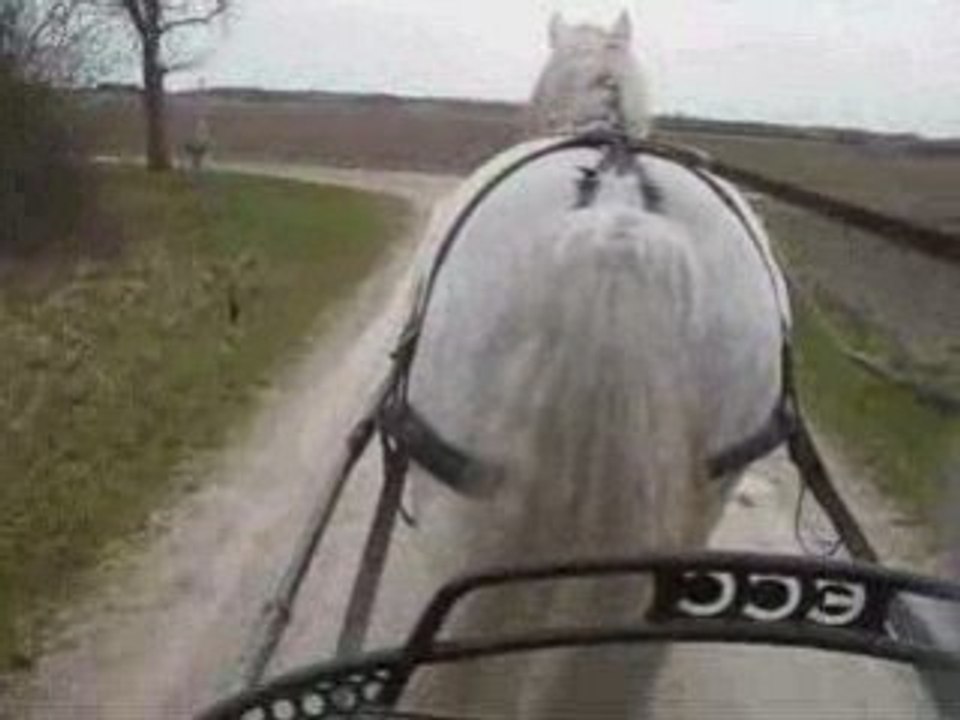 Ecart attelage