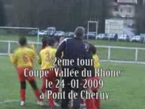 Coupe vallée du Rhône à Pont de Cheruy le 24-01-2009