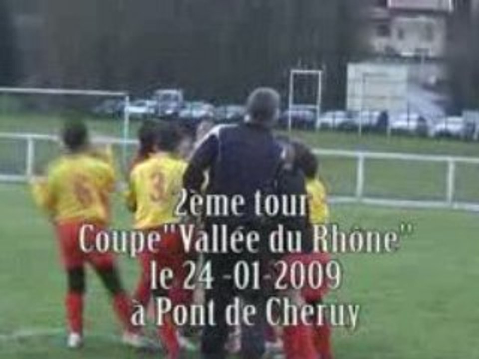 Coupe vallée du Rhône à Pont de Cheruy le 24-01-2009