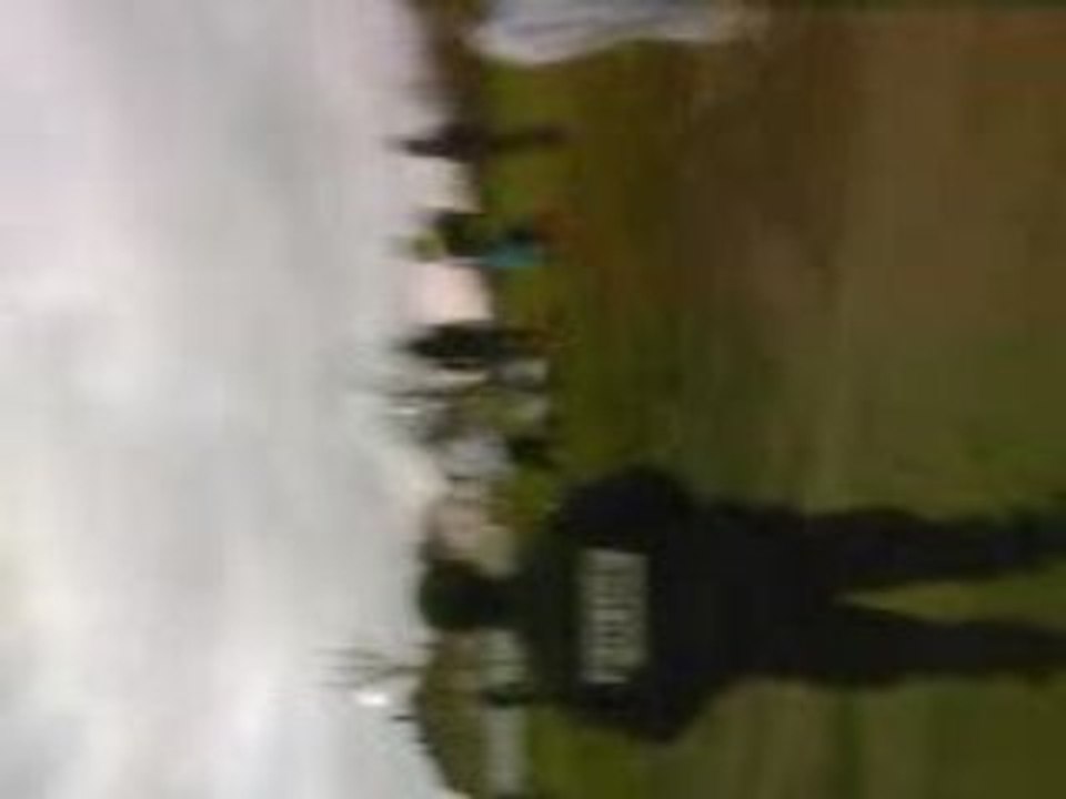 emeute peuplier part2