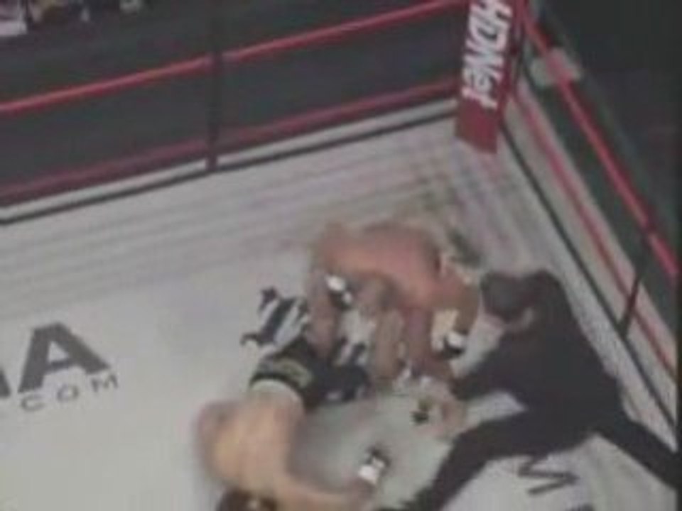 Fedor VS Arlovski big Knockout