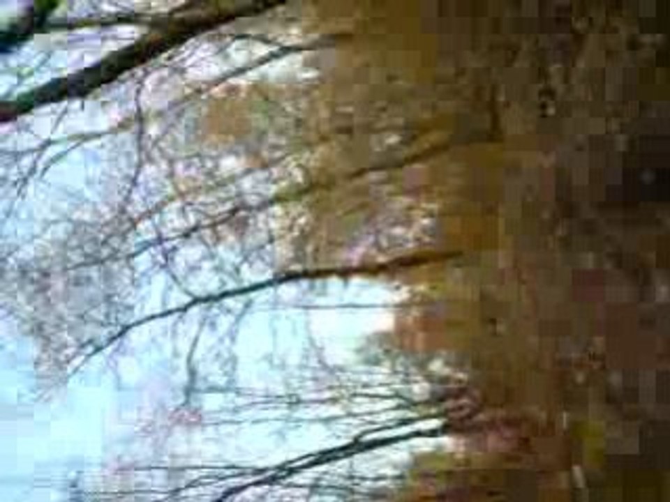 V281208_15.27