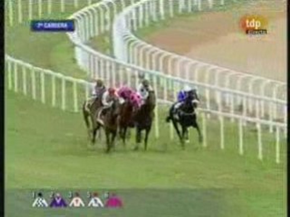 2009 (19) PREMIO MMAMRM (CATEGORIA C) (FUNES)