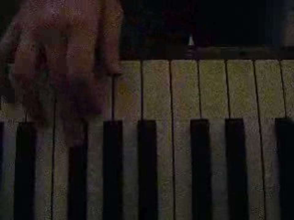 Coffee's Lullaby