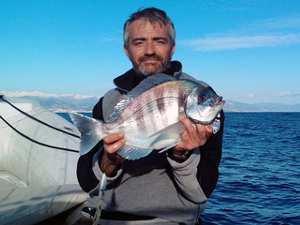 Inshiku et Daurades grises