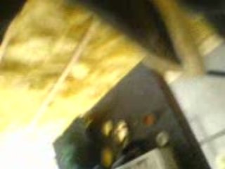 Le 44 remington target de rock