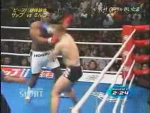 Mirko cro cop Filipovic vs Bob Sapp de Parekh