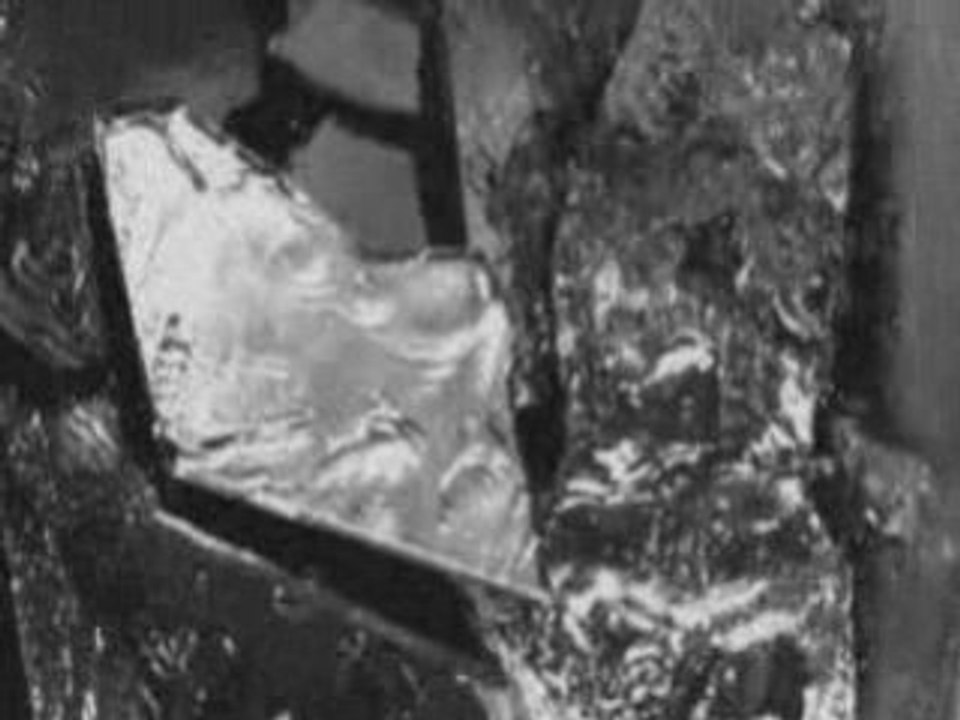 :wumpscut: - sehnsucht