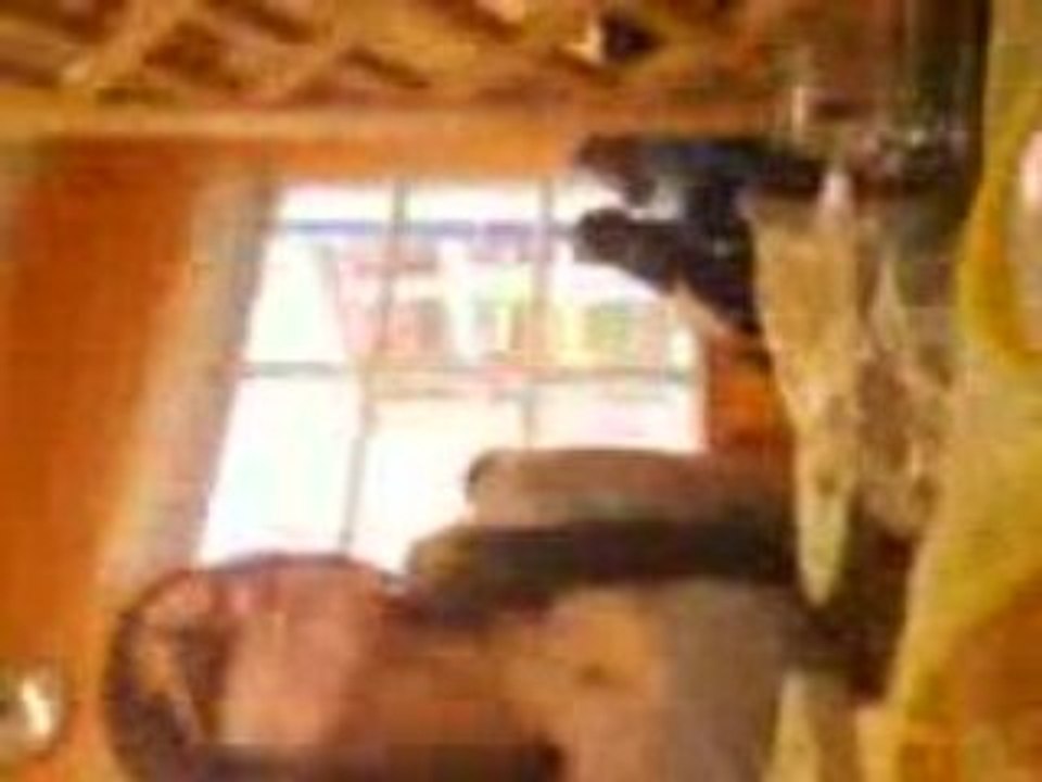 Hé ça fais une etoile de mer !