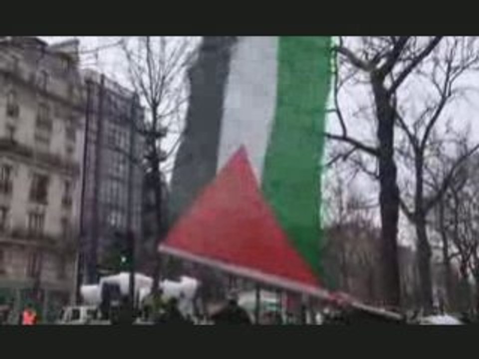 Manifestation solidarité avec  Gaza, 24 janvier 2009 à Paris