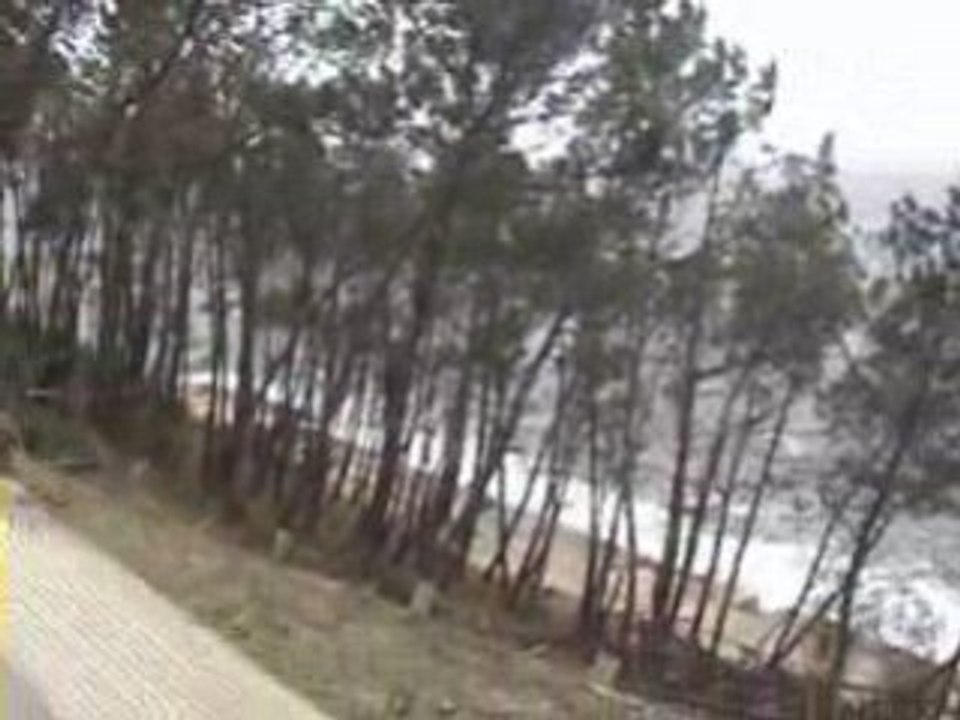 tempête 24 janvier 2009 bassin arcachon pyla la teste