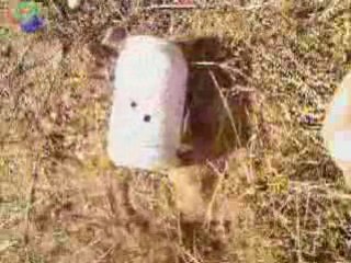 Hatsan mod 125 50 metre atış