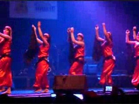 Danse kabyle au zenith de paris YENNAYER 2959