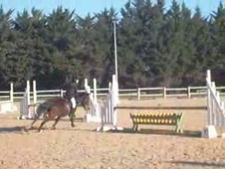 POLO COMPETITION DU 25 JANVIER 2009