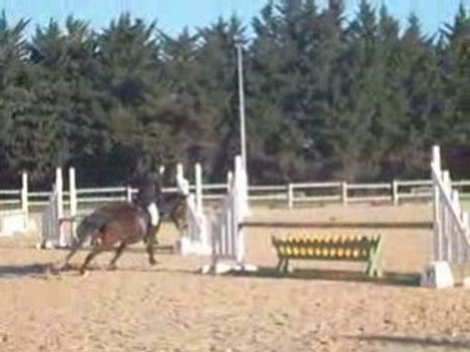 POLO COMPETITION DU 25 JANVIER 2009