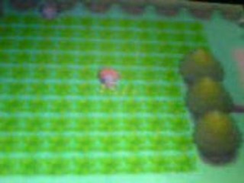 Etourmi shiney + Herbe shiney